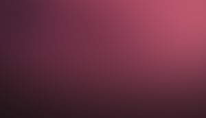 Header_Background_rose